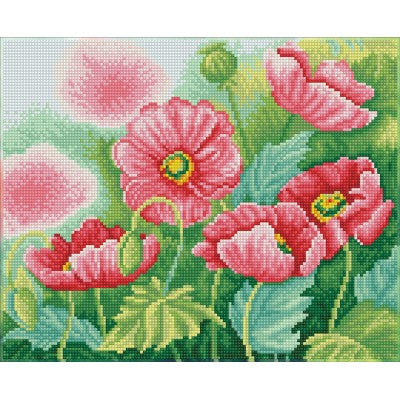 Watercolour Poppies 11.81x14.57 in (DQ8.024)