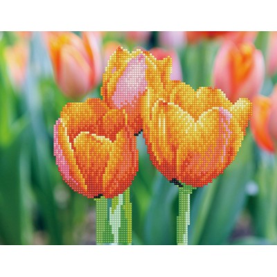 SD3.402 Love Tulips 10.6"x 13.8"
